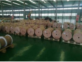 雙玻璃絲包線有哪些特征？